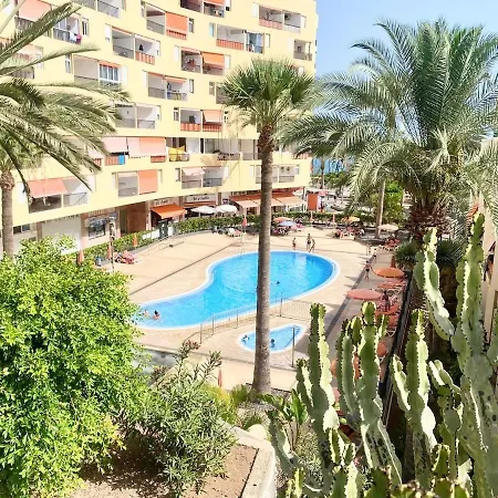 Bruma Atlántico * Arona (Tenerife)